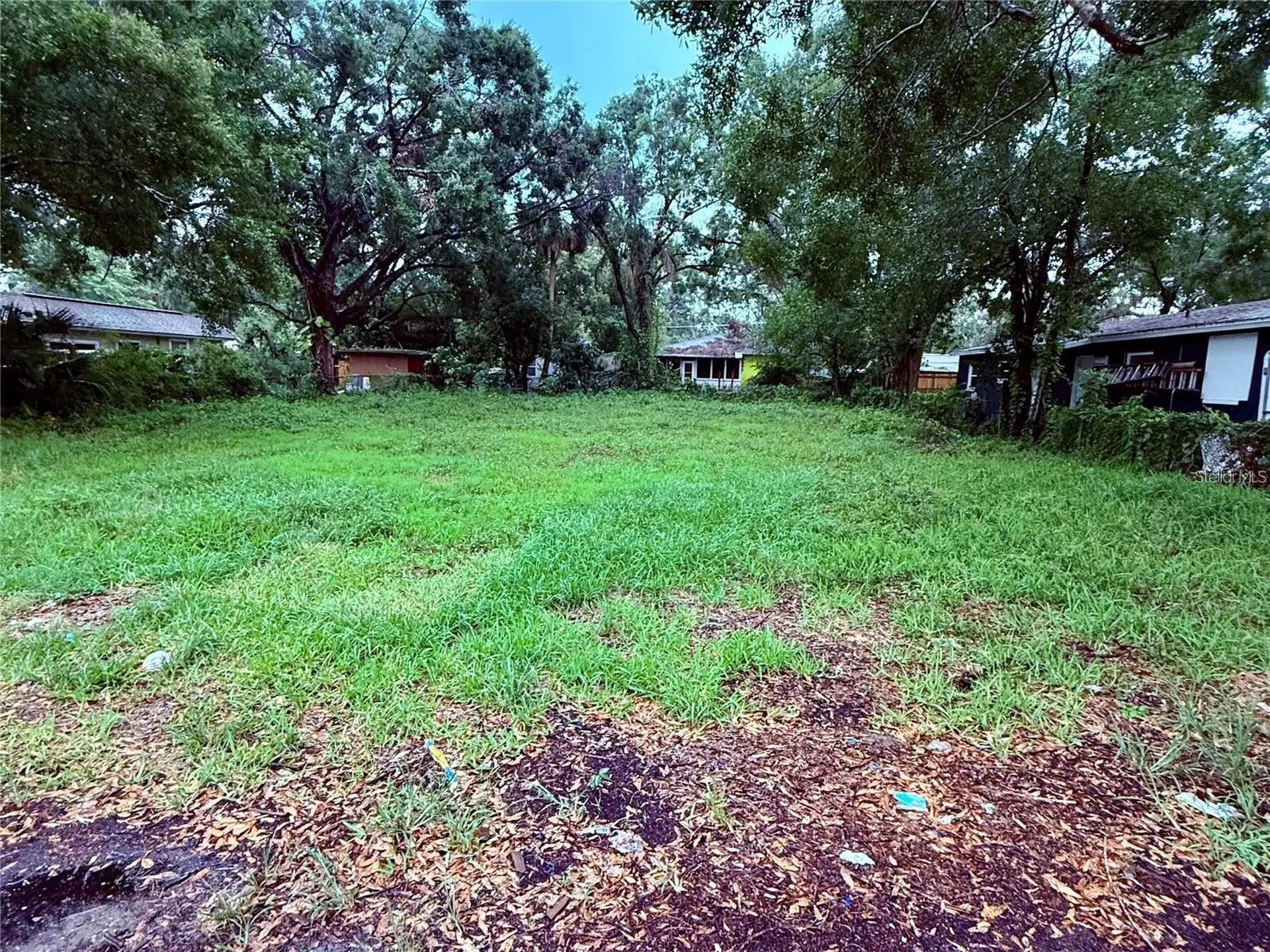 1705 E Nome Street Tampa FL 33604