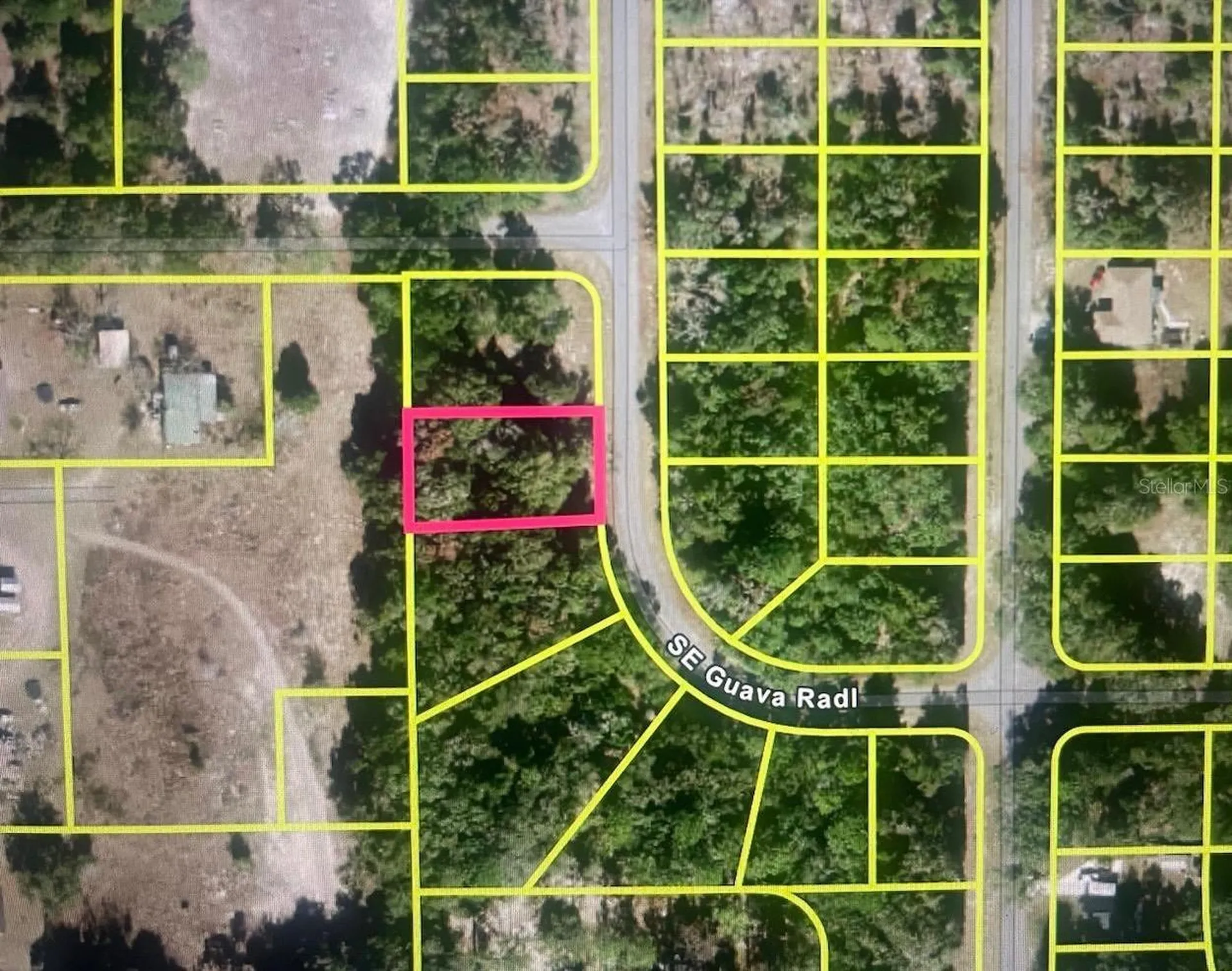 Guava Terrace Radial Ocklawaha FL 32179