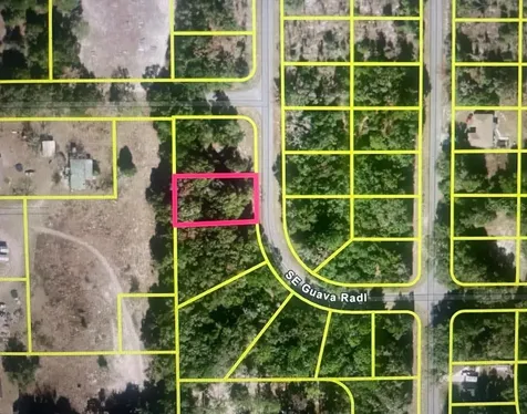 Guava Terrace Radial Ocklawaha FL 32179