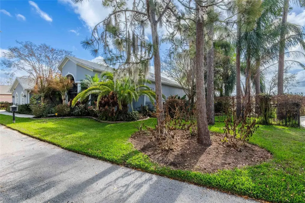 6716 Magnolia Point Drive Land O Lakes FL 34637