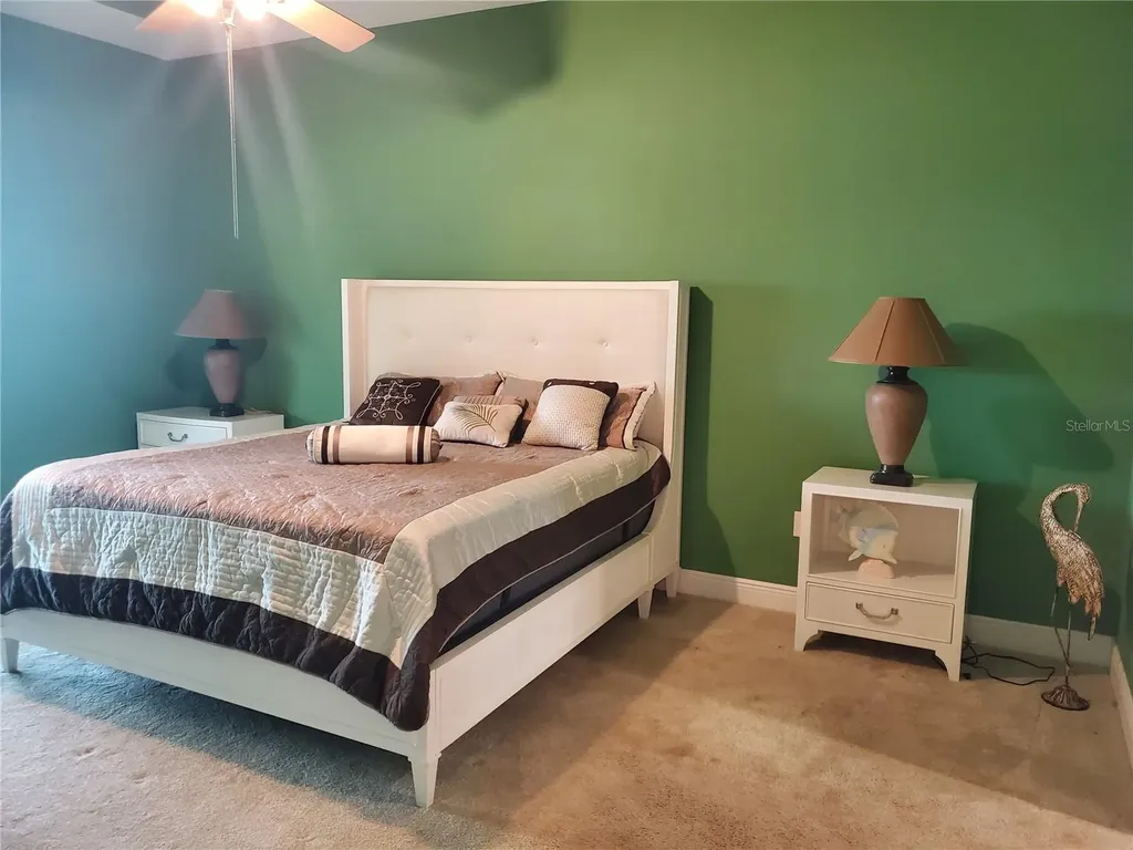 6716 Magnolia Point Drive Land O Lakes FL 34637