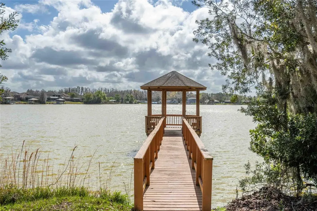 6716 Magnolia Point Drive Land O Lakes FL 34637
