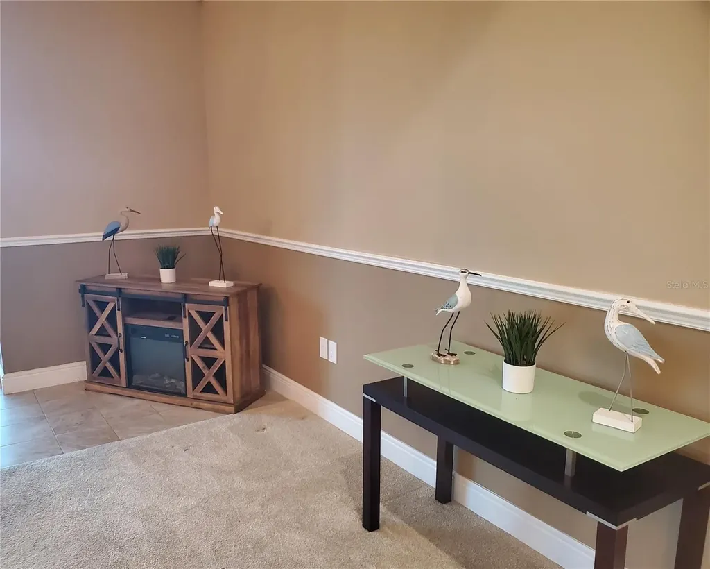 6716 Magnolia Point Drive Land O Lakes FL 34637