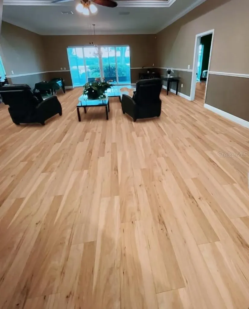 6716 Magnolia Point Drive Land O Lakes FL 34637