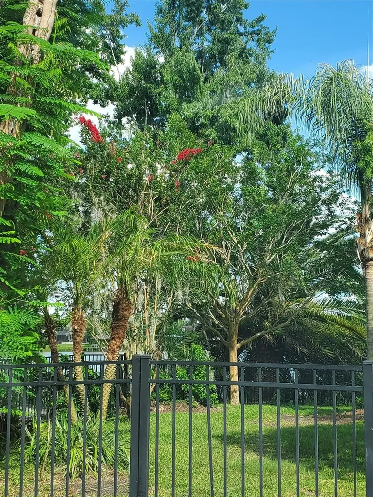 6716 Magnolia Point Drive Land O Lakes FL 34637