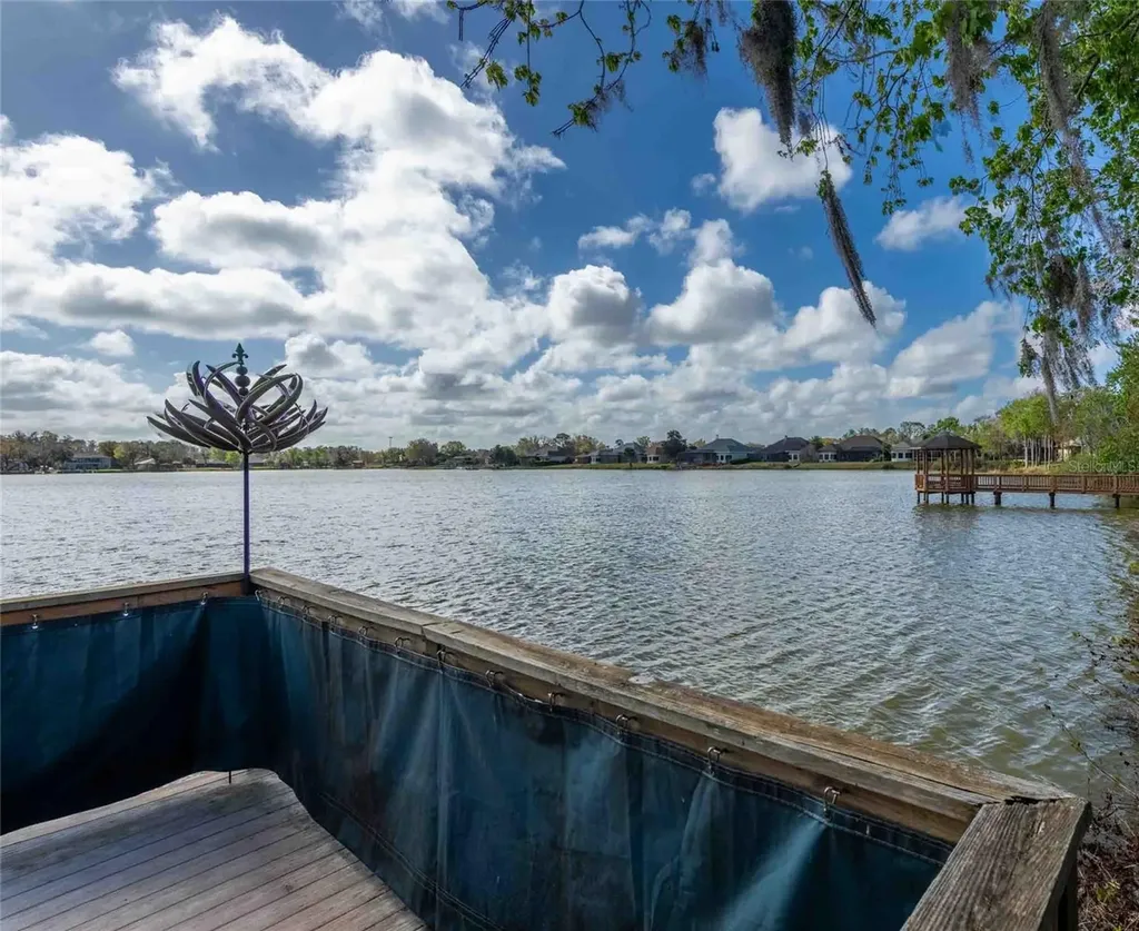 6716 Magnolia Point Drive Land O Lakes FL 34637