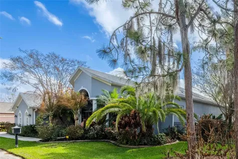 6716 Magnolia Point Drive Land O Lakes FL 34637