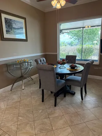 6716 Magnolia Point Drive Land O Lakes FL 34637