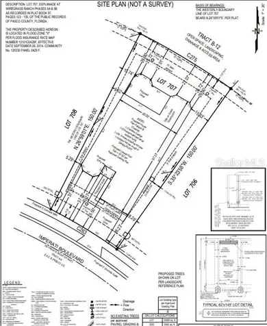 30365 Imperati Boulevard Wesley Chapel FL 33543
