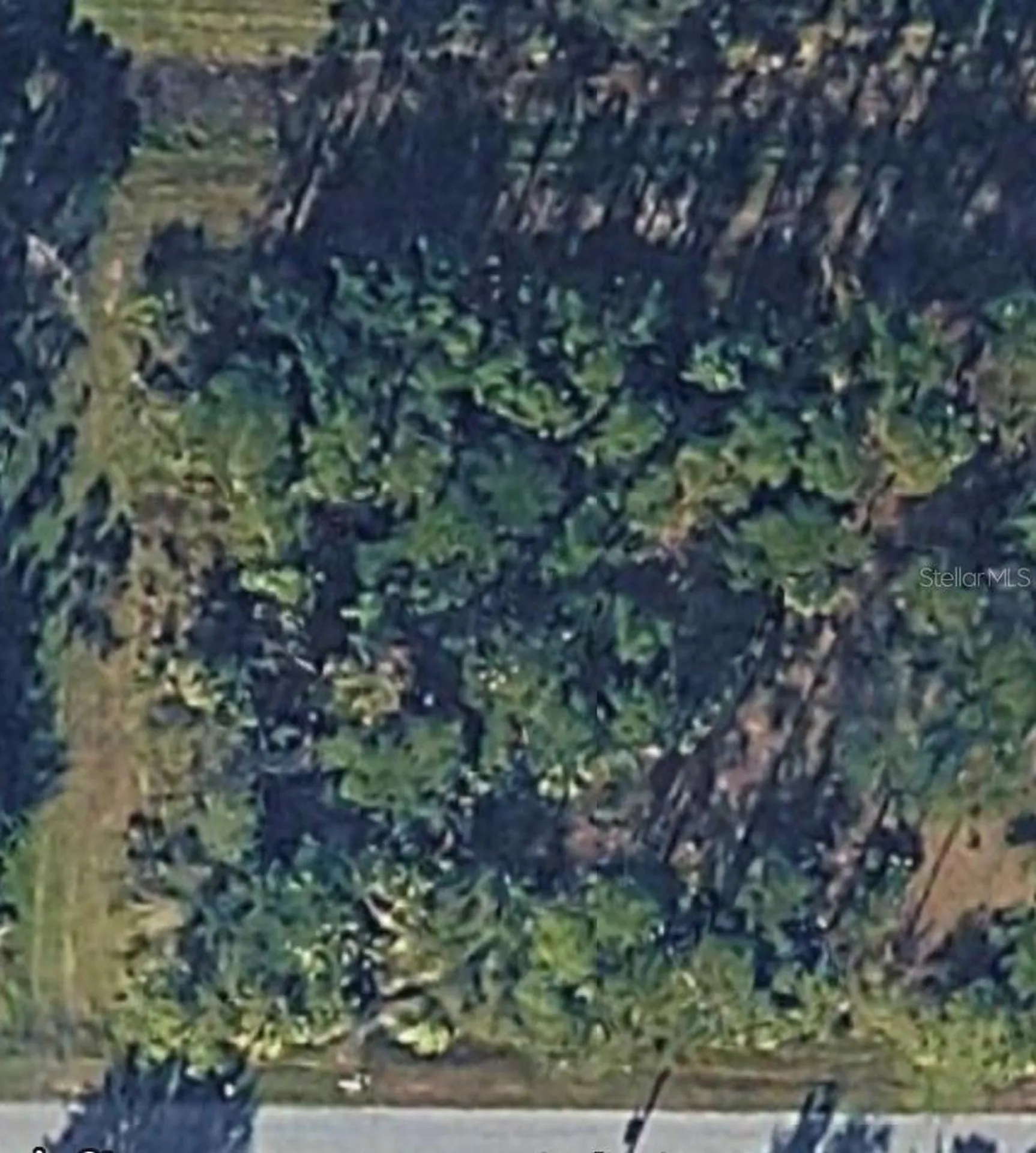 Garlenda Avenue North Port FL 34286