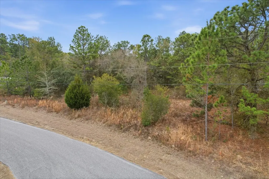 2924 W Eunice Drive Dunnellon FL 34433