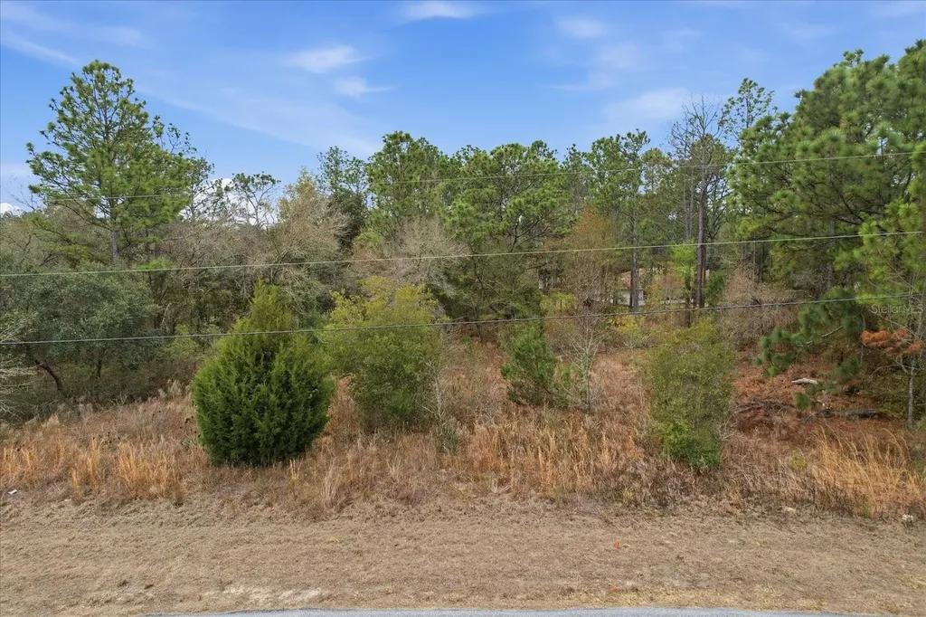 2924 W Eunice Drive Dunnellon FL 34433