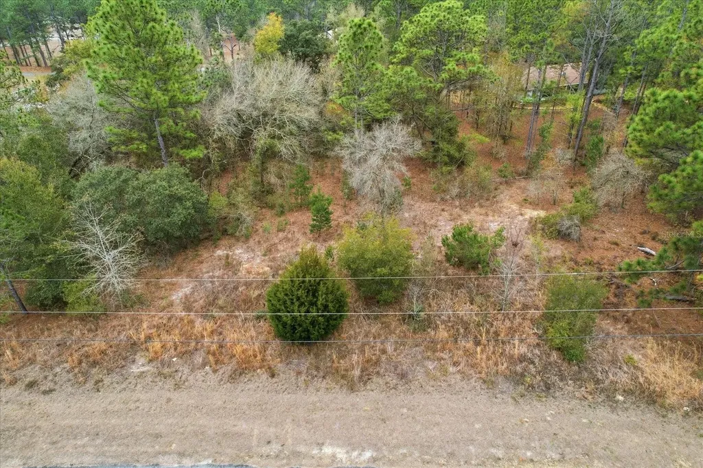 2924 W Eunice Drive Dunnellon FL 34433