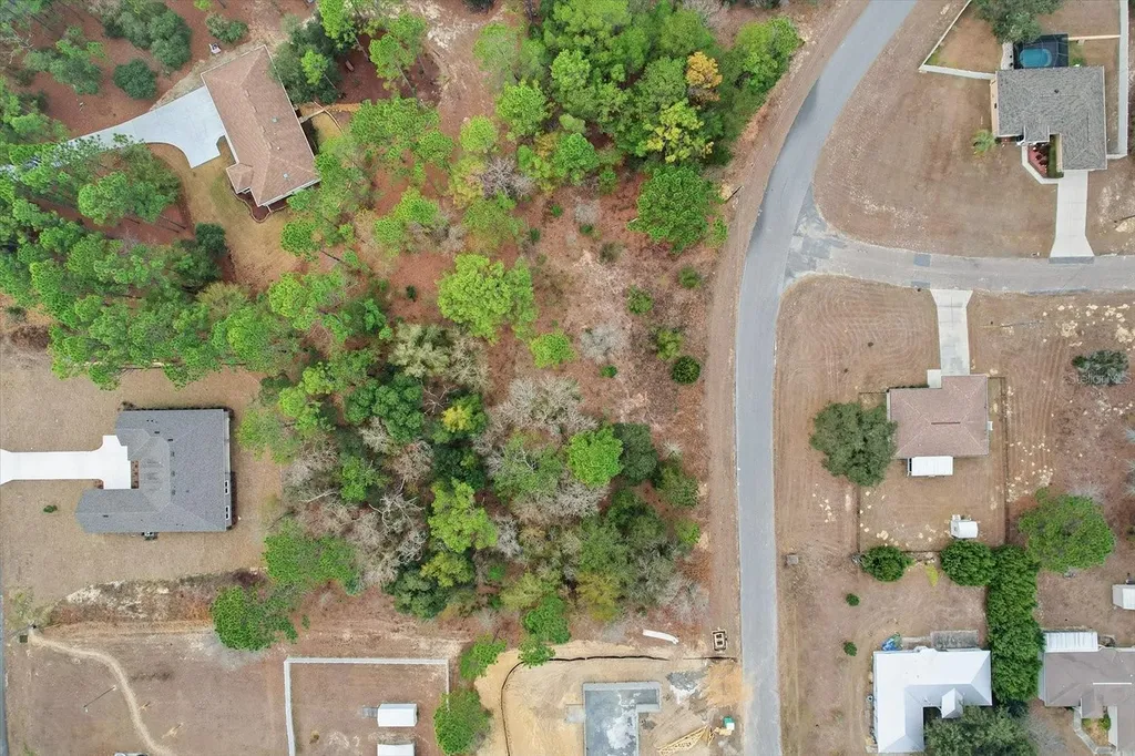 2924 W Eunice Drive Dunnellon FL 34433