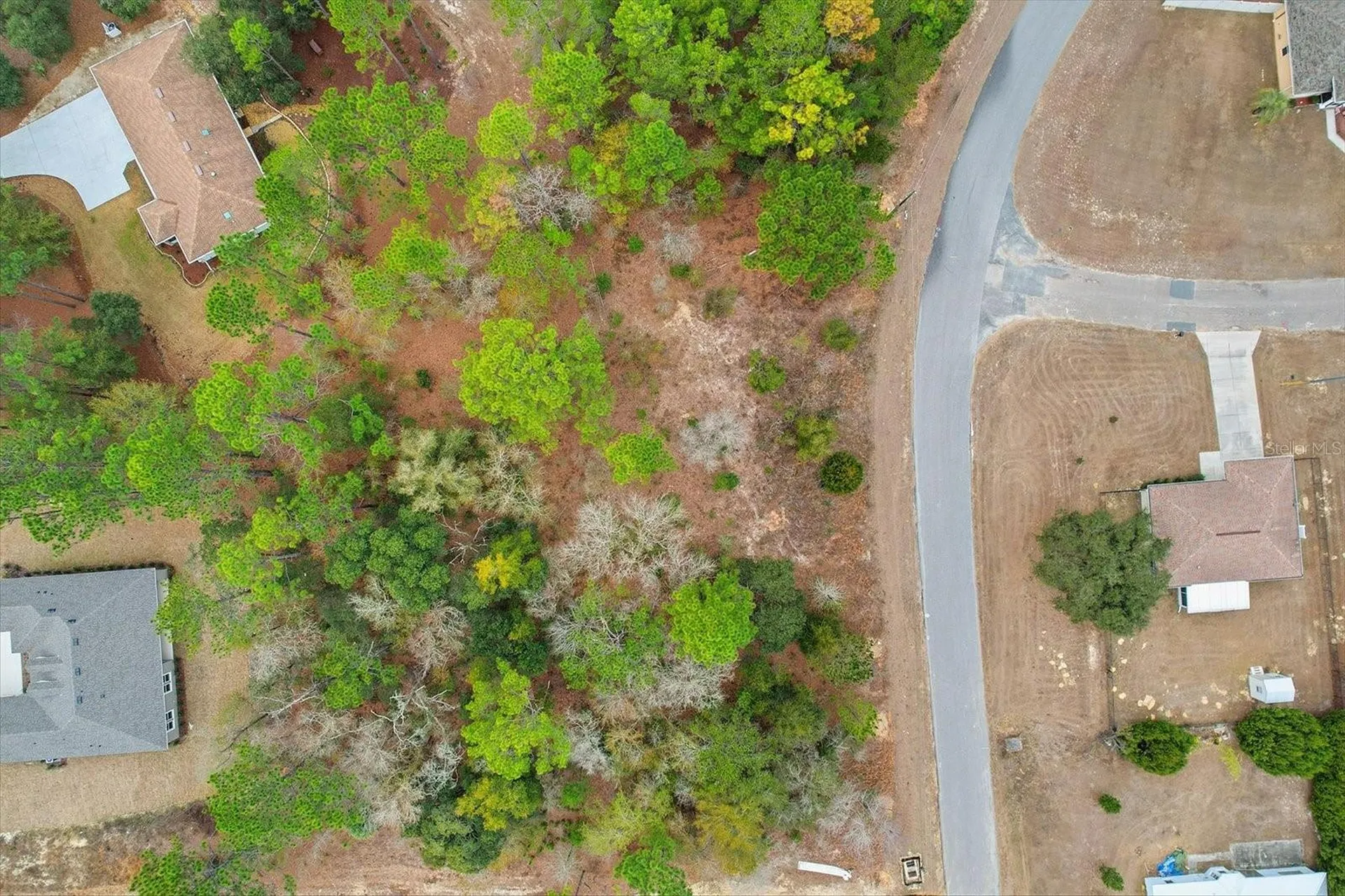 2924 W Eunice Drive Dunnellon FL 34433