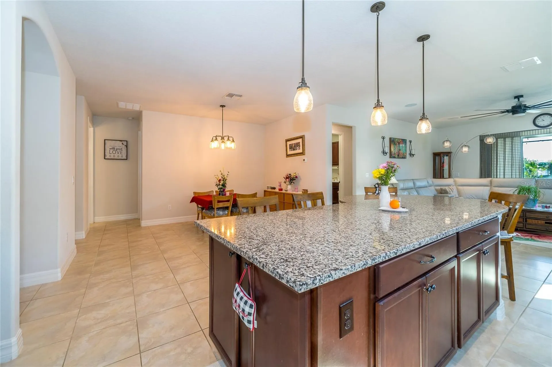 4748 Ballast Crest Cove Land O Lakes FL 34638