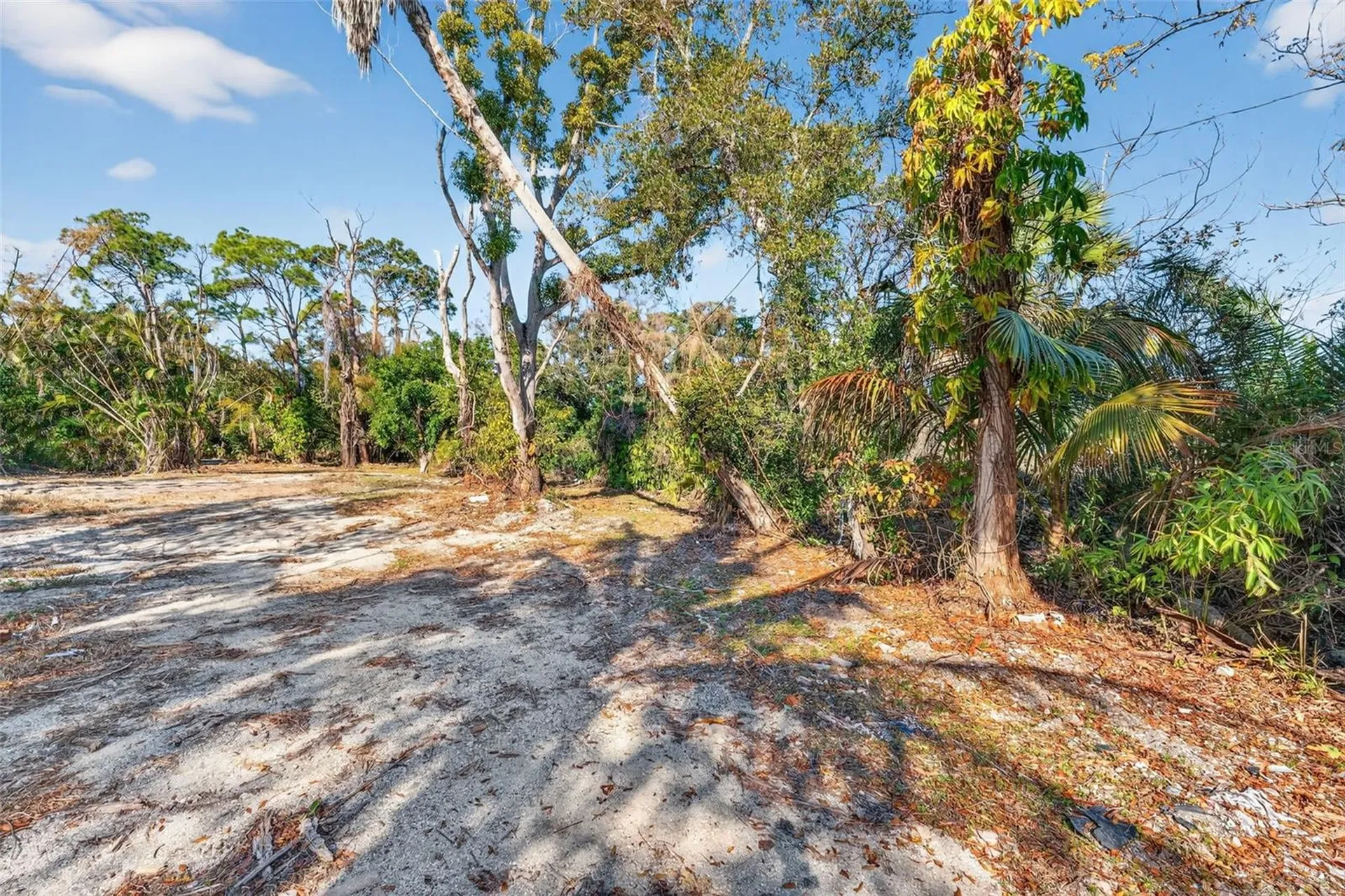 14 Old Venice Road Osprey FL 34229