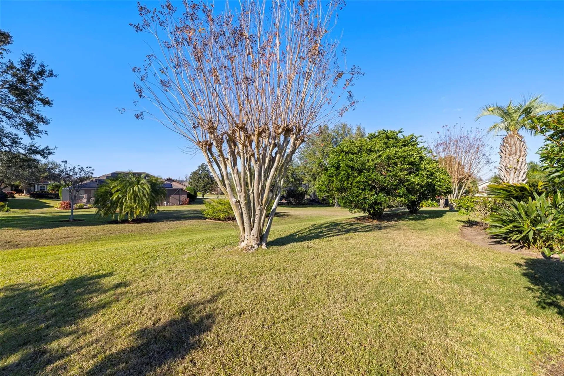 13235 Legends Trail Dade City FL 33525