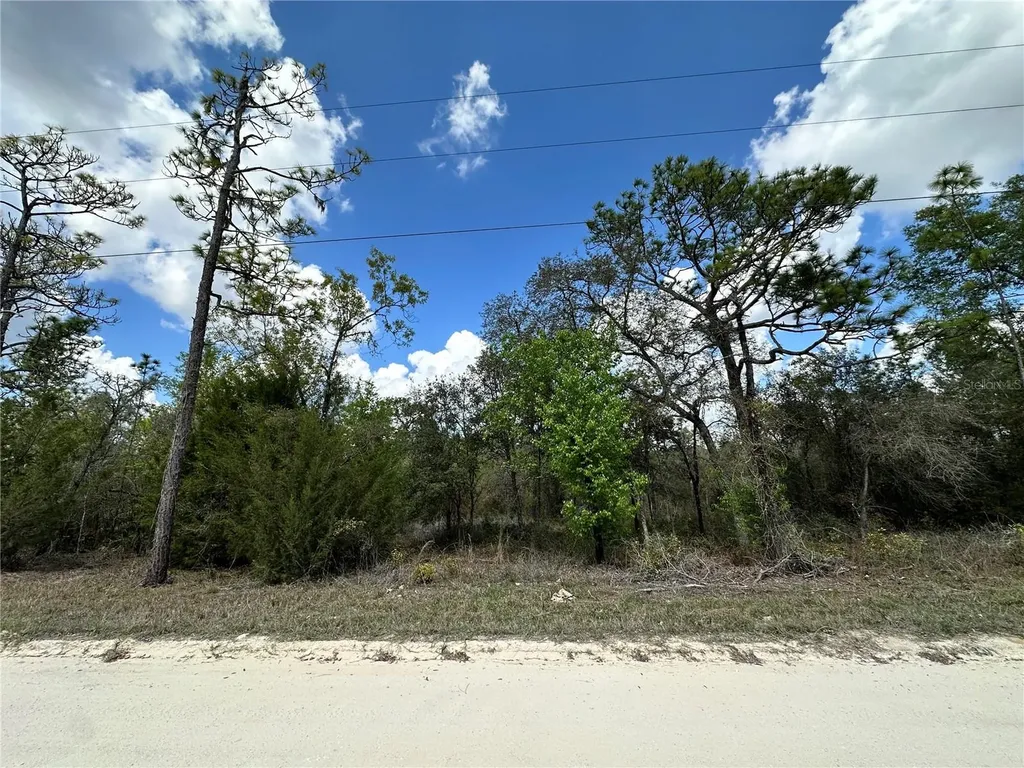 Tbd NE 63rd Place Williston FL 32696