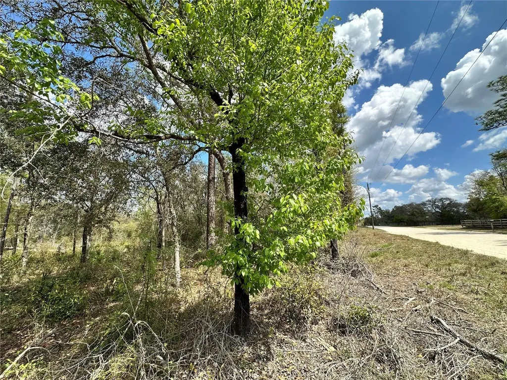 Tbd NE 63rd Place Williston FL 32696
