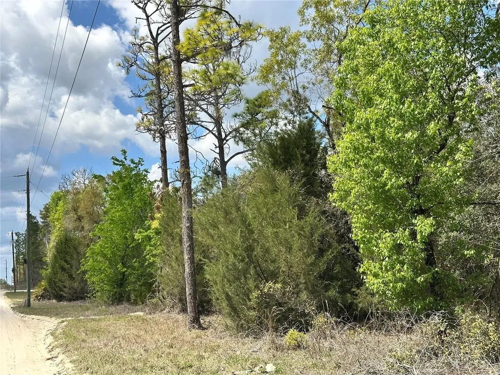 Tbd NE 63rd Place Williston FL 32696