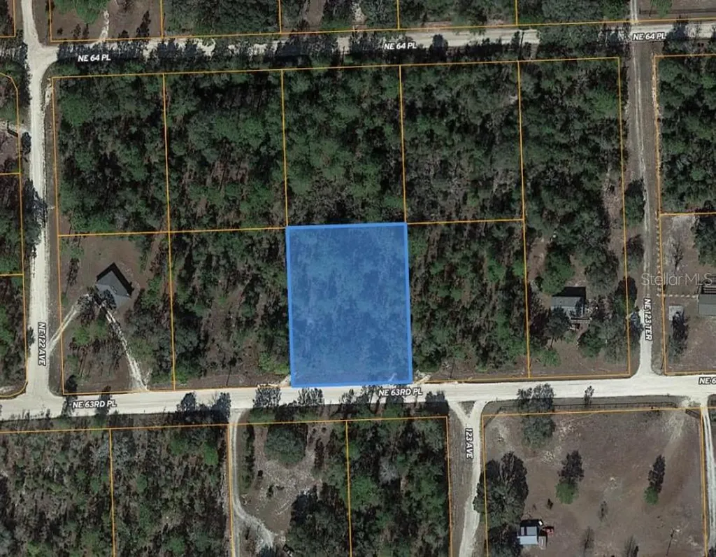 Tbd NE 63rd Place Williston FL 32696