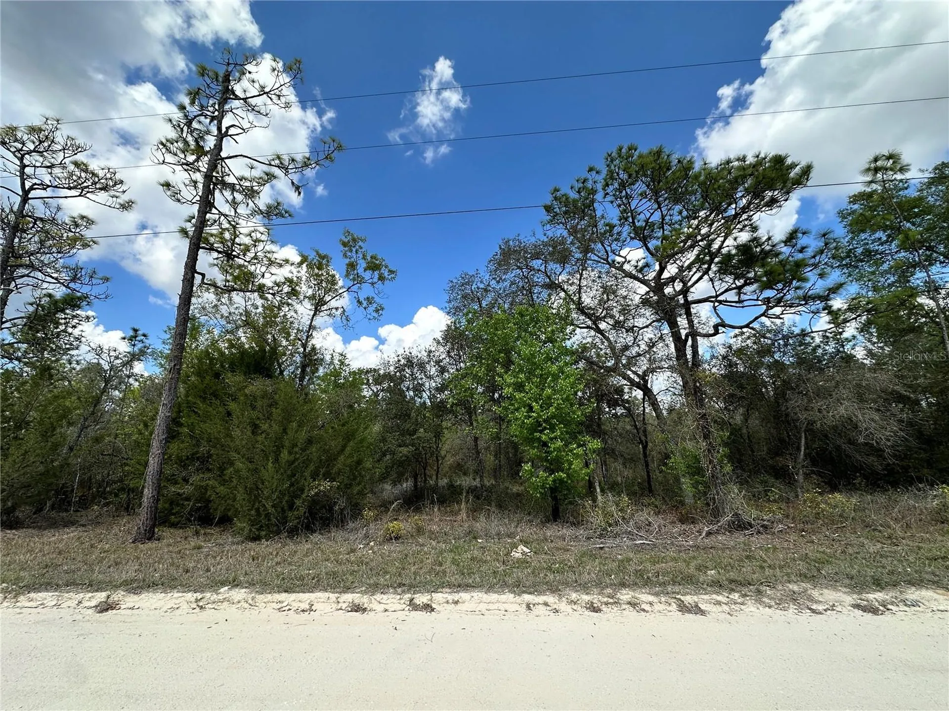Tbd NE 63rd Place Williston FL 32696