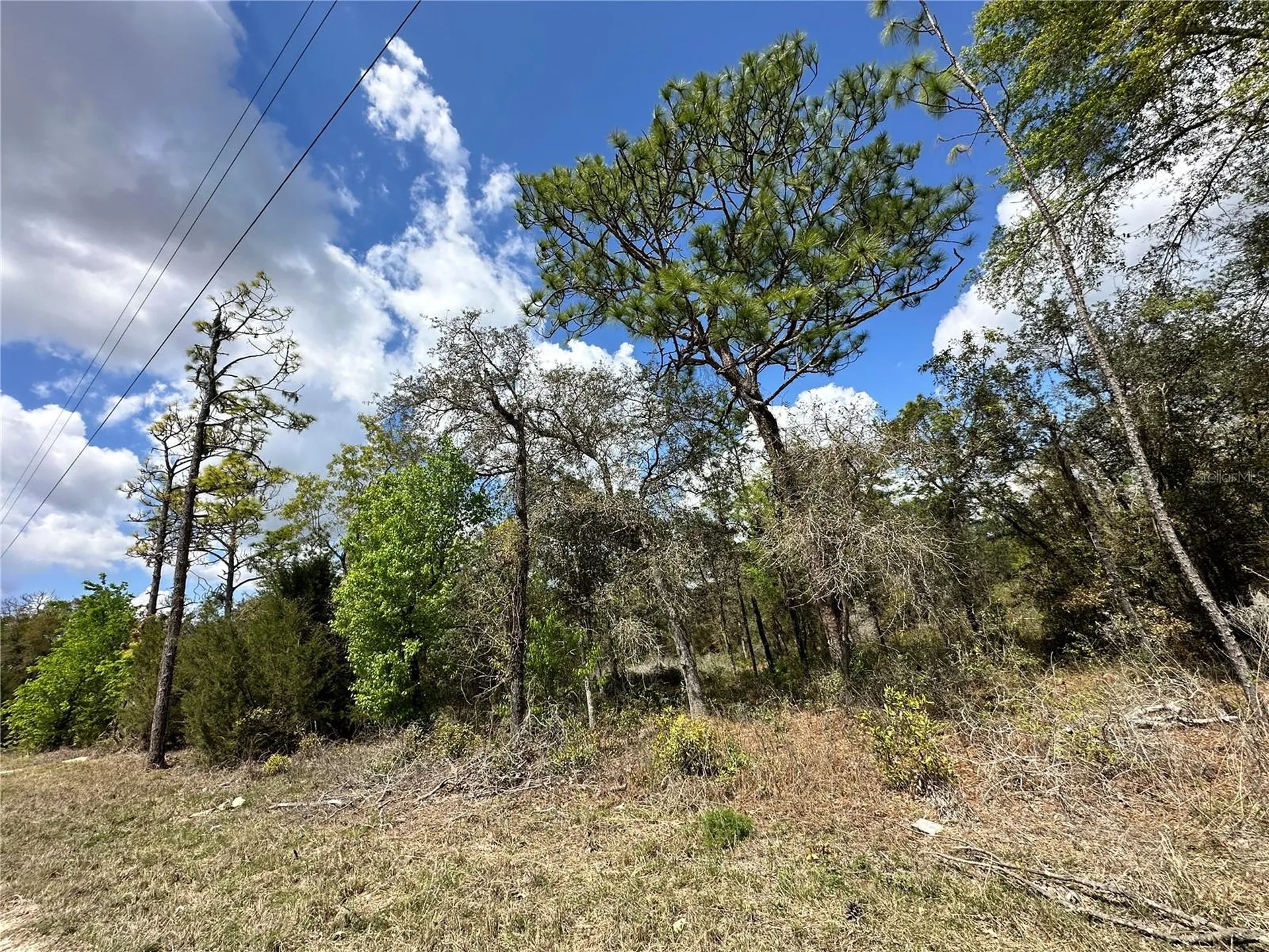 Tbd NE 63rd Place Williston FL 32696