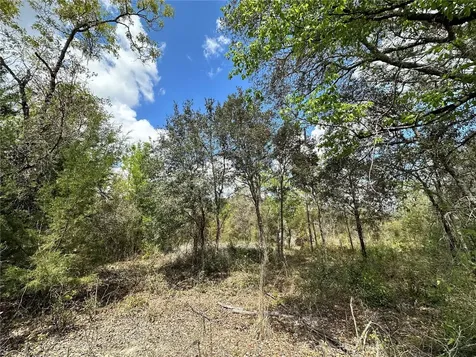 Tbd NE 63rd Place Williston FL 32696