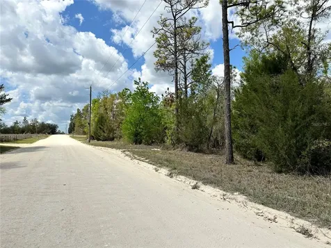 Tbd NE 63rd Place Williston FL 32696
