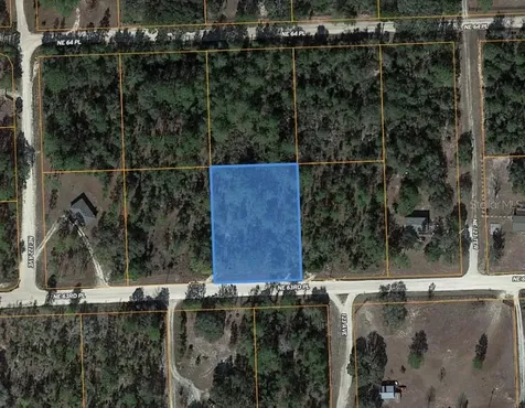 Tbd NE 63rd Place Williston FL 32696