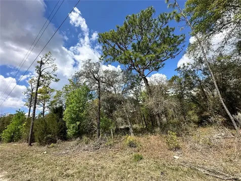 Tbd NE 63rd Place Williston FL 32696