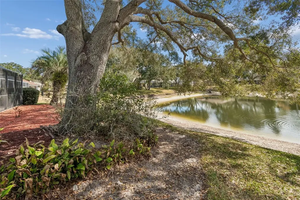 16711 Longleat Drive Lutz FL 33549