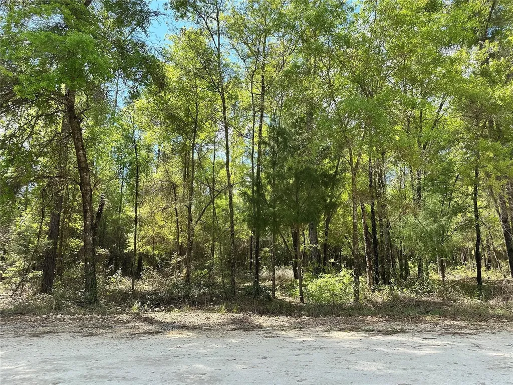 10350 NE 74th Place Bronson FL 32621
