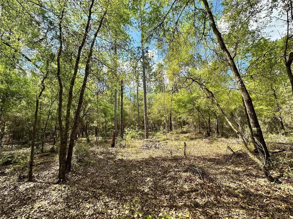 10350 NE 74th Place Bronson FL 32621