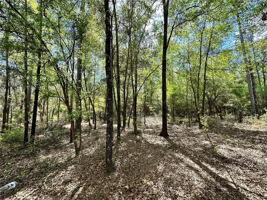 10350 NE 74th Place Bronson FL 32621