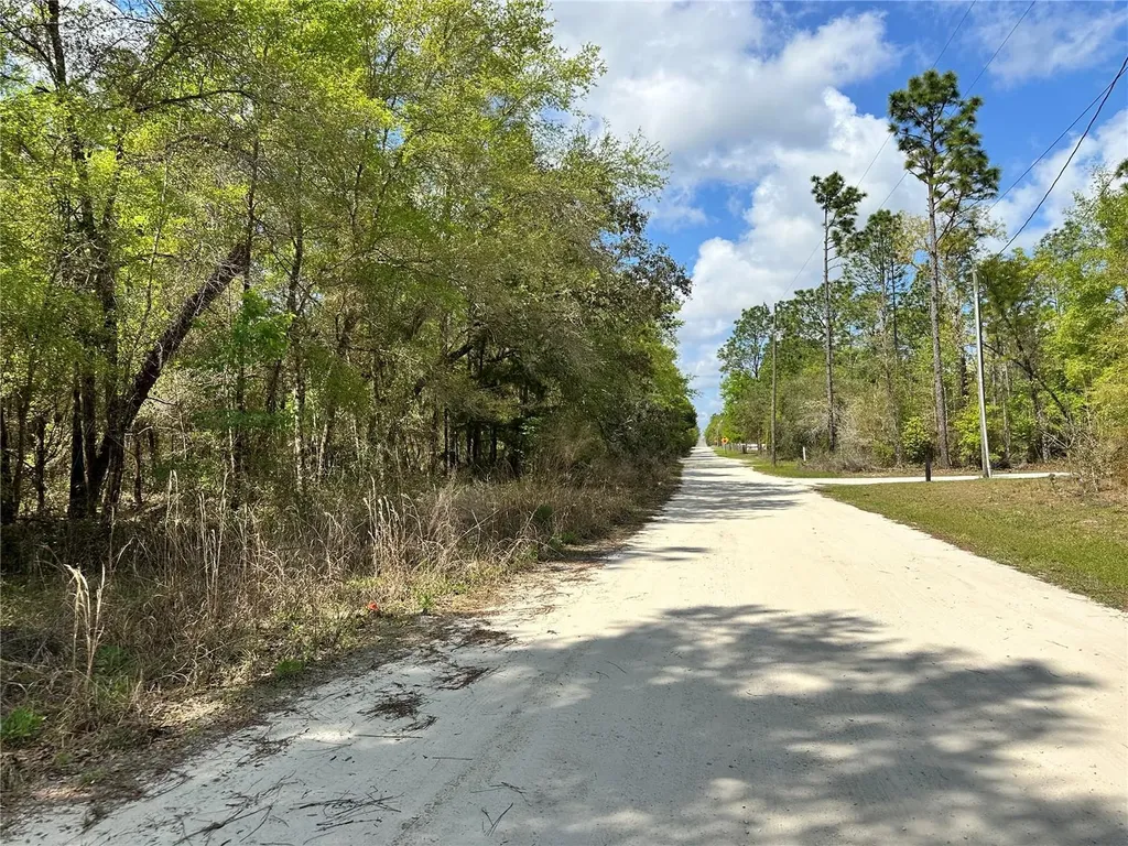 10350 NE 74th Place Bronson FL 32621