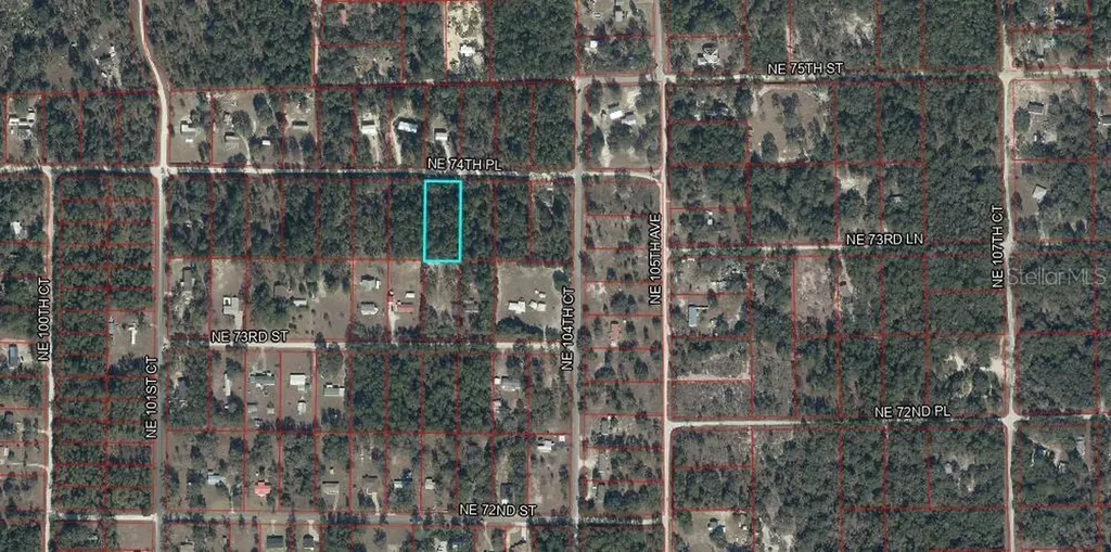 10350 NE 74th Place Bronson FL 32621