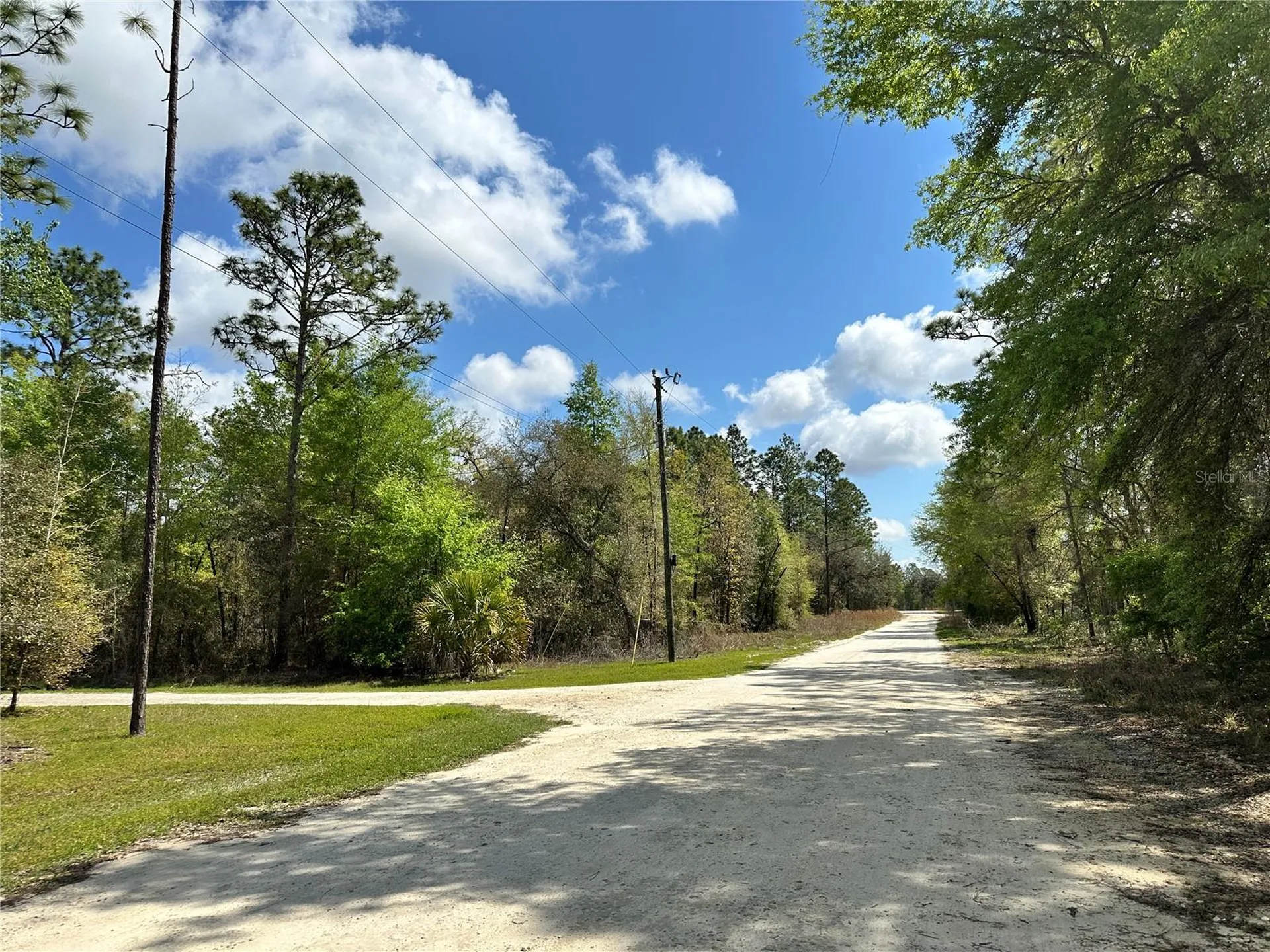 10350 NE 74th Place Bronson FL 32621