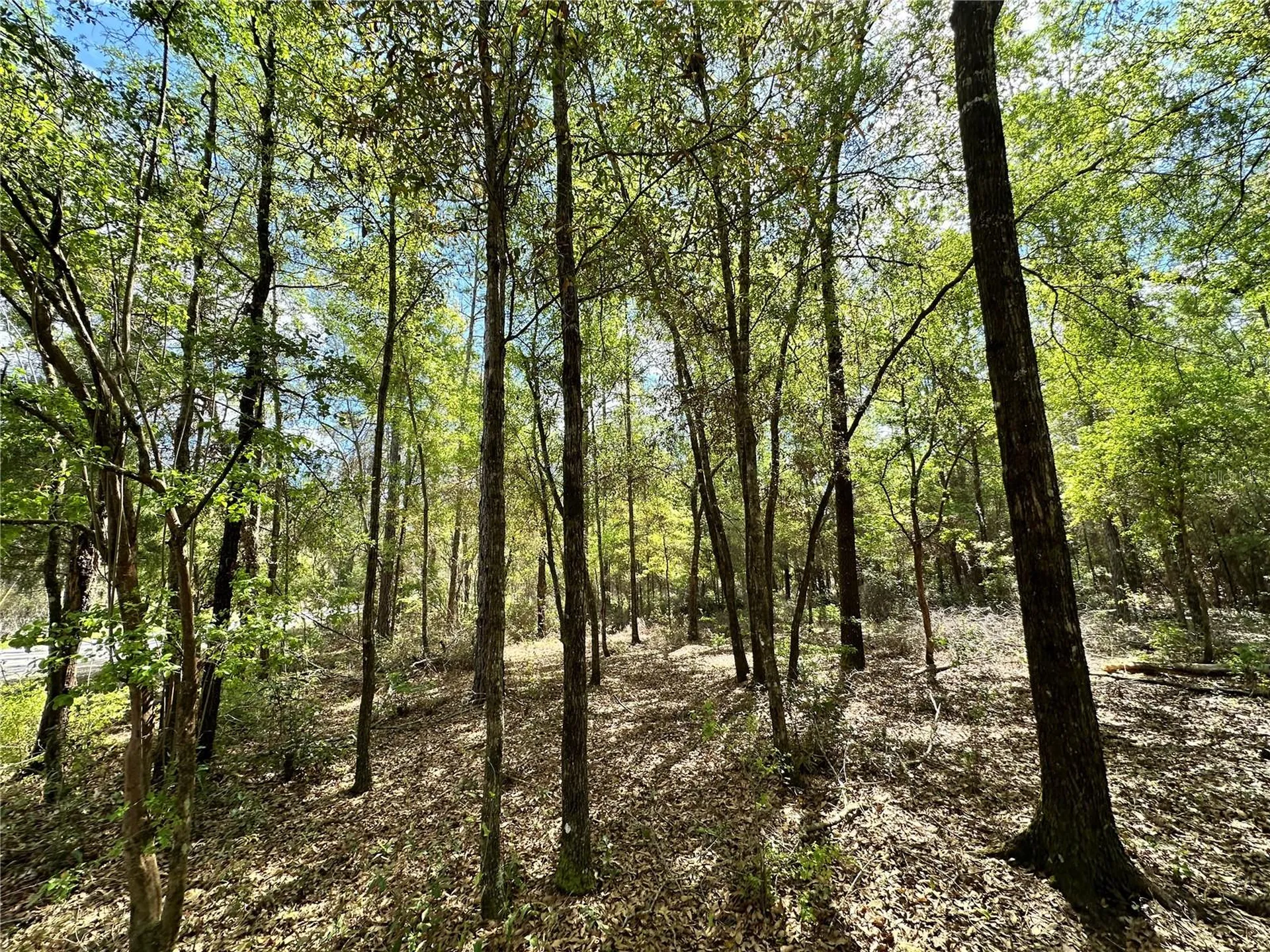 10350 NE 74th Place Bronson FL 32621