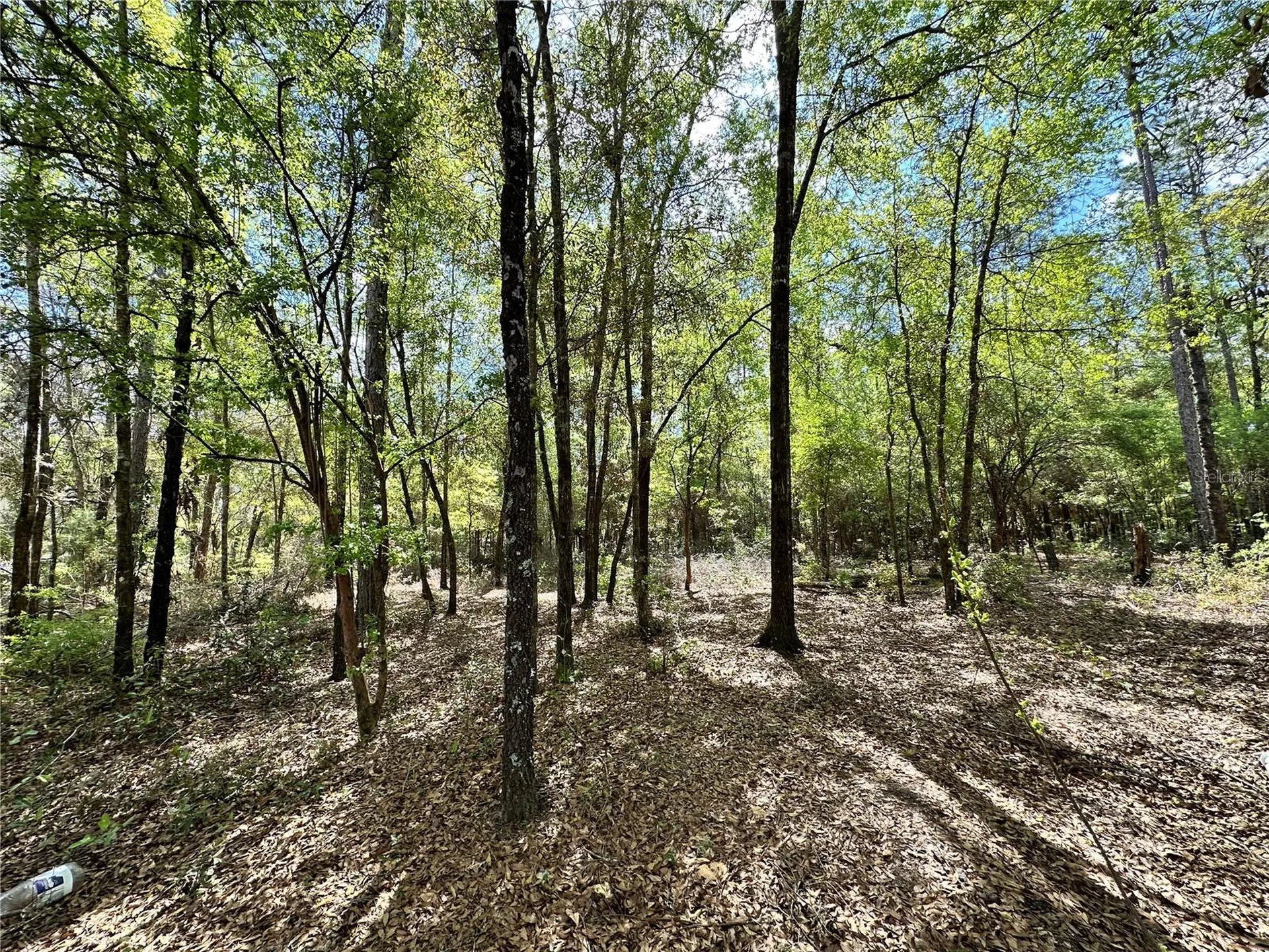 10350 NE 74th Place Bronson FL 32621