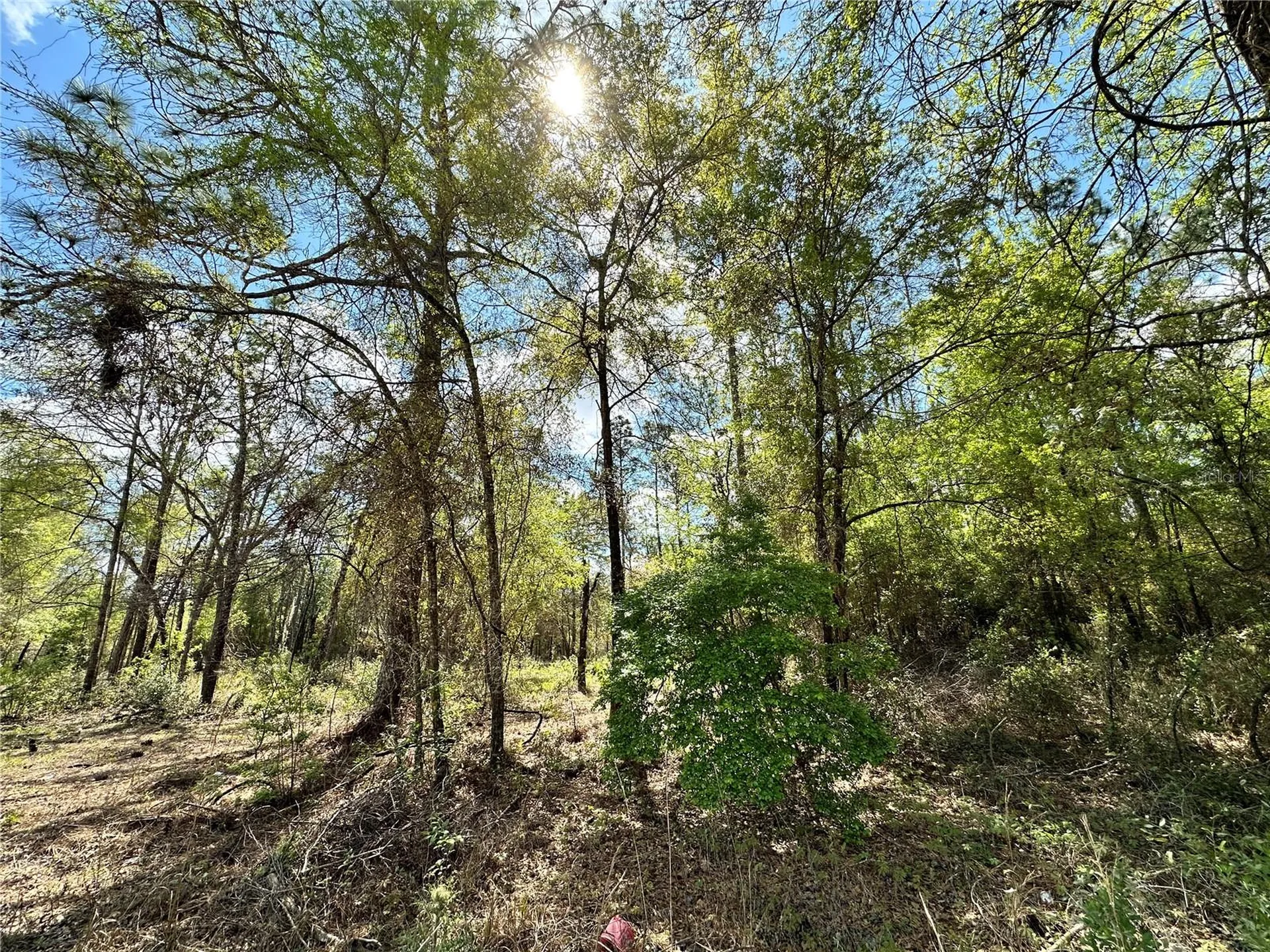10350 NE 74th Place Bronson FL 32621