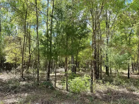 10350 NE 74th Place Bronson FL 32621