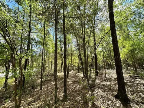 10350 NE 74th Place Bronson FL 32621