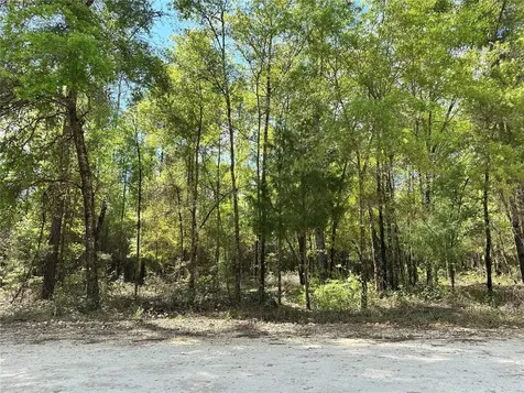 10350 NE 74th Place Bronson FL 32621