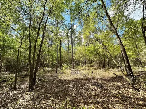 10350 NE 74th Place Bronson FL 32621