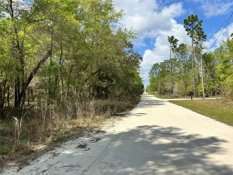 10350 NE 74th Place Bronson FL 32621