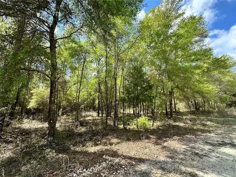 10350 NE 74th Place Bronson FL 32621