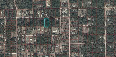 10350 NE 74th Place Bronson FL 32621