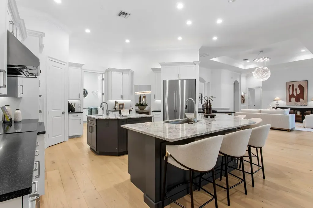 9916 Menander Wood Court Odessa FL 33556